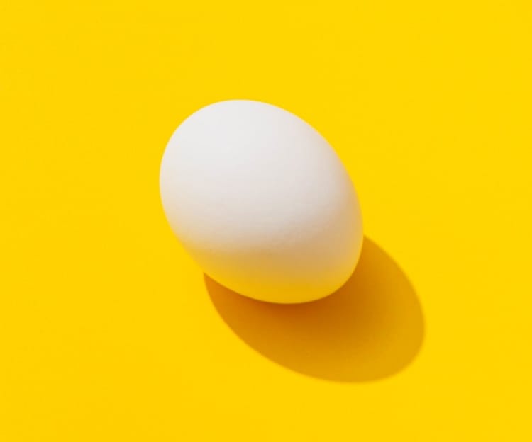 an egg on a bright yellow background